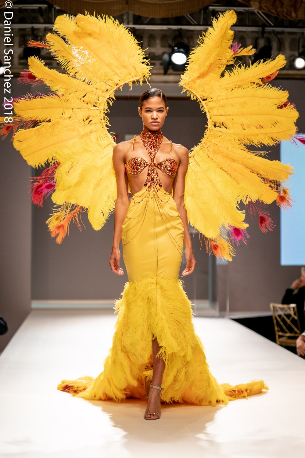 F4D 2018 - Drennaluna (1 of 1)-5